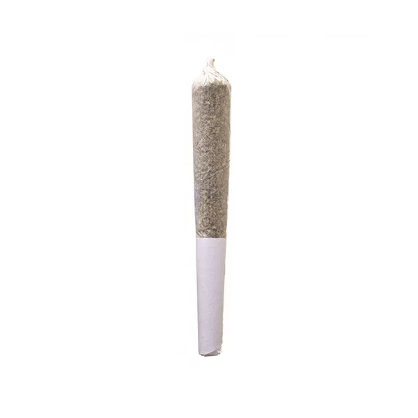 Image for Apple Kush Infused Pre-Roll, cannabis all products by Sensimila