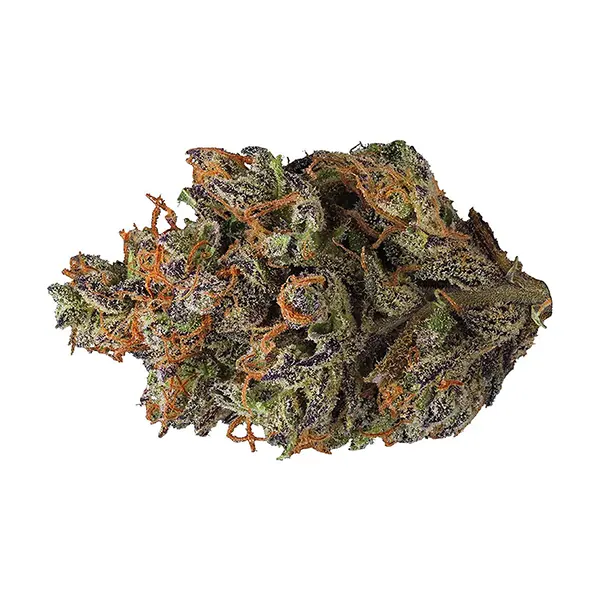 Bud image for Craft Collection - Indica, cannabis all products by Sensimila