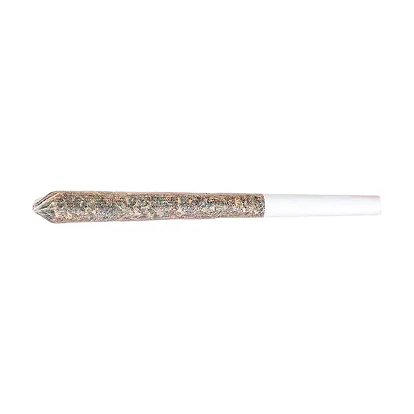 Image for Northern Lights Pre-Roll, cannabis all products by Station House