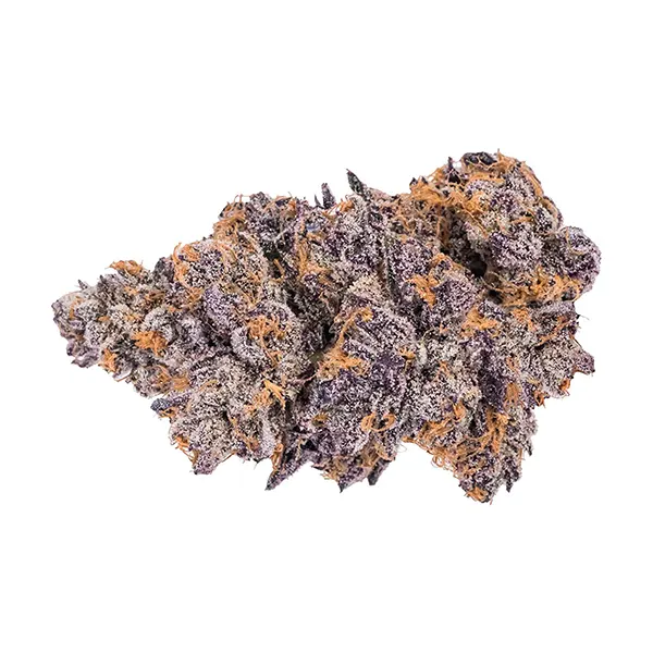 Bud image for Craft Collection - Sativa, cannabis dried flower by Sensimila