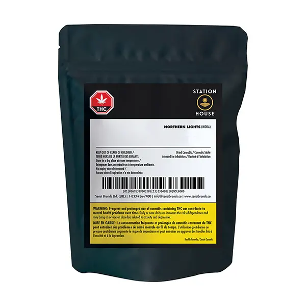 Northern Lights (Dried Flower) by Station House