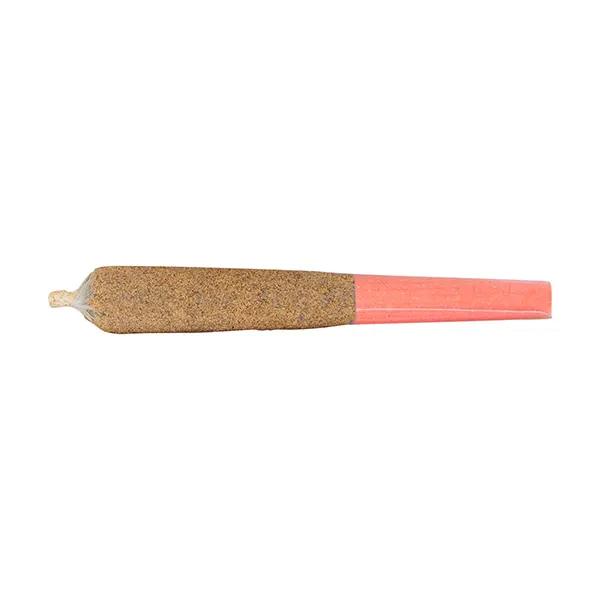 Orange Twist Infused Pre-Roll (Pre-Rolls) by Potluck