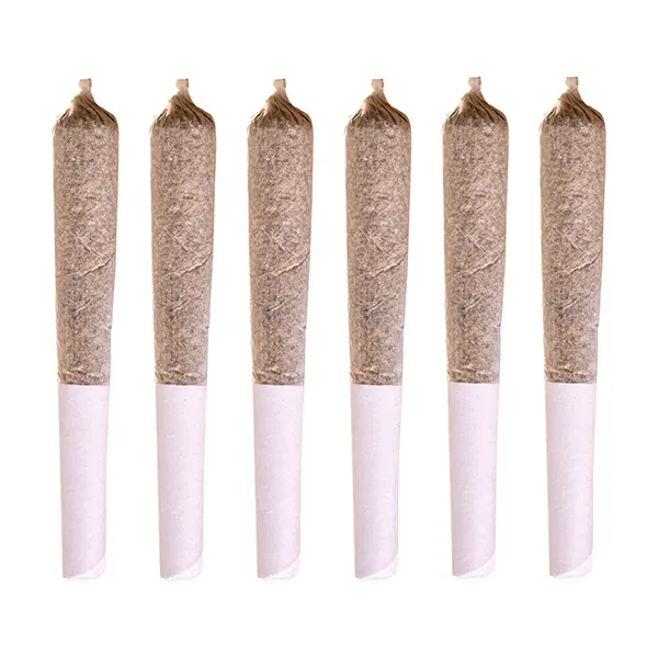 Jack Herer Pre-Roll (Pre-Rolls) by Station House