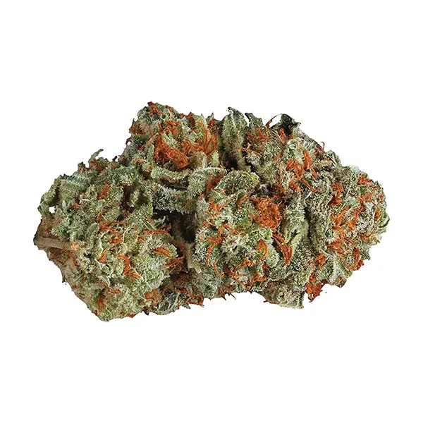 LA Confidential