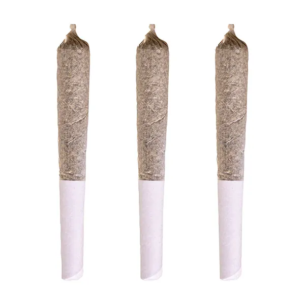 Maple Pancakes Pre-roll (Pre-Rolls) by Potluck