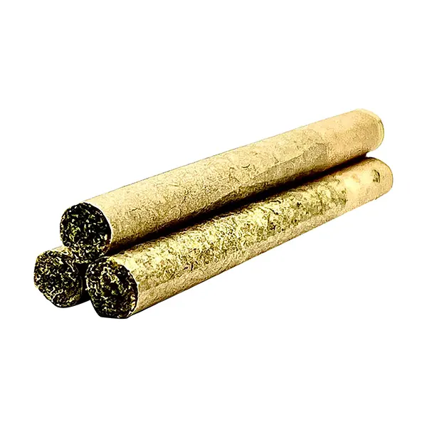 Image for Mango Tango Pre-Roll, cannabis popular in all products by GRDNWRKS