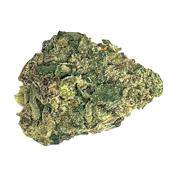 Mango Tango