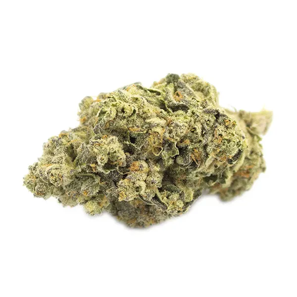 Image for Chunk Dawg