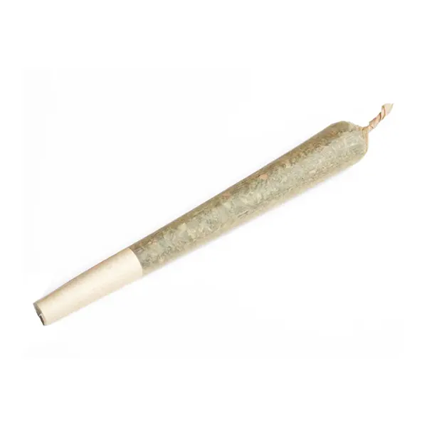 Image for Chunk Dawg Pre-Roll