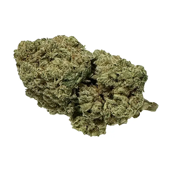 Bud image for Cluster Funk, cannabis all products by Skunk Pharm