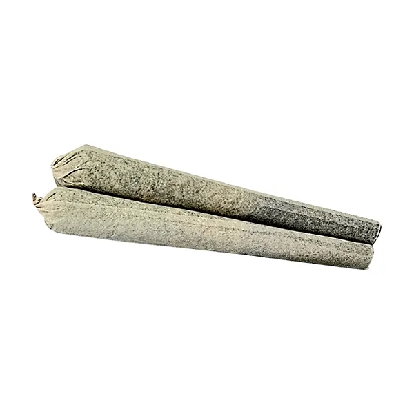 Image for Infused Stingerz Pre-Roll, cannabis all products by Buzz'd