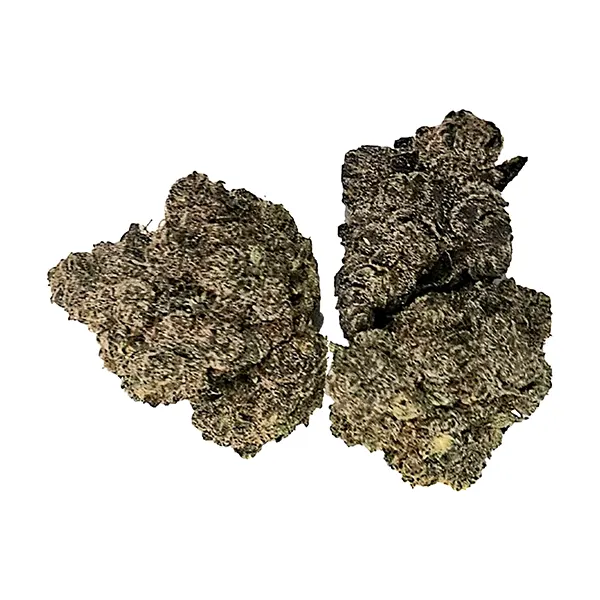 Bud image for Honey OG, cannabis all products by Buzz'd