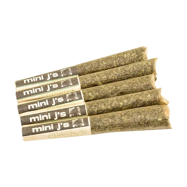 Image for Cool Mint Crush Infused Mini J's