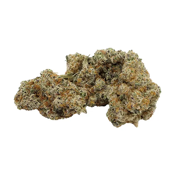 Image for Day & Night Superflower Pack