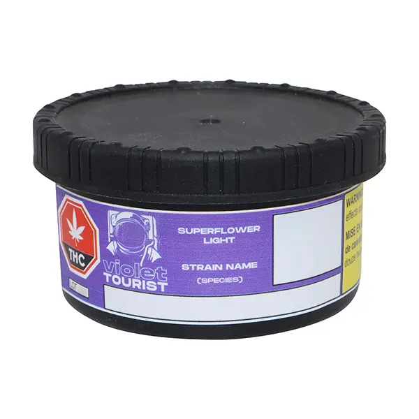 Superflower Light (Dried Flower) by Violet Tourist