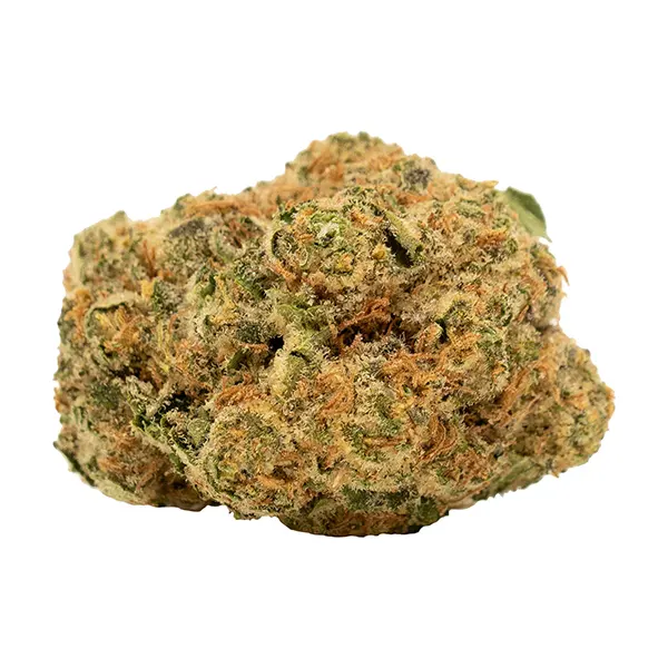 Bud image for Gorilla Berry, cannabis all products by Tweed