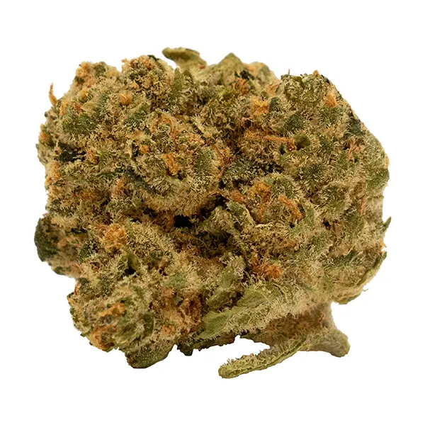 Bud image for Chemsicle, cannabis all products by Tweed