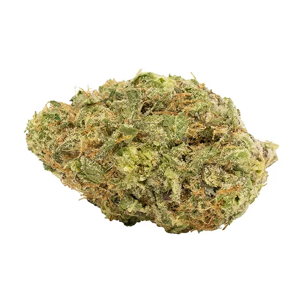 Bud image for Cactus Funk Breath, cannabis dried flower by 7Acres