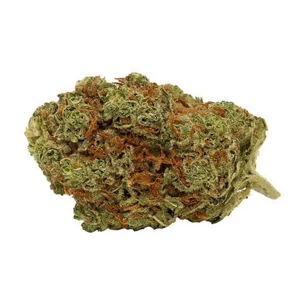 Bud image for Red Velvet Cake, cannabis all products by Tweed