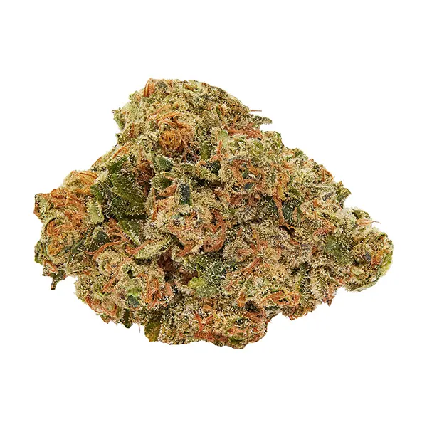 Bud image for Pumpkin Spice, cannabis dried flower by Good Supply