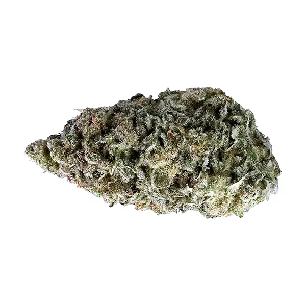 Bud image for Sky Pilot, cannabis all products by Tantalus Labs