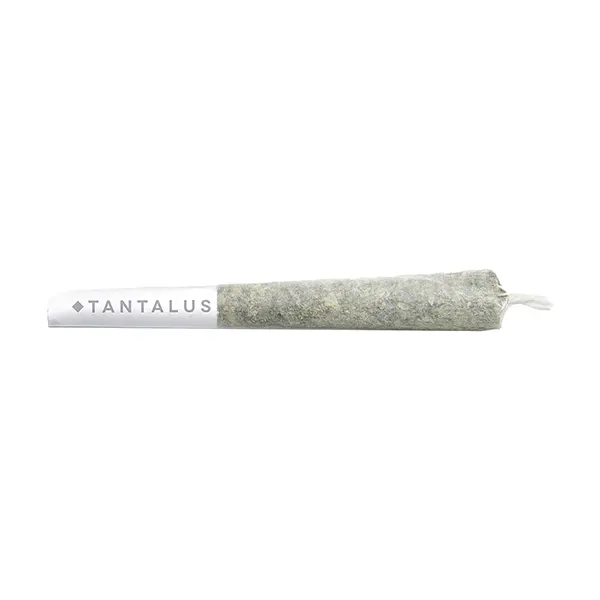 More Cowbell Pre-Roll (Pre-Rolls) by Tantalus Labs