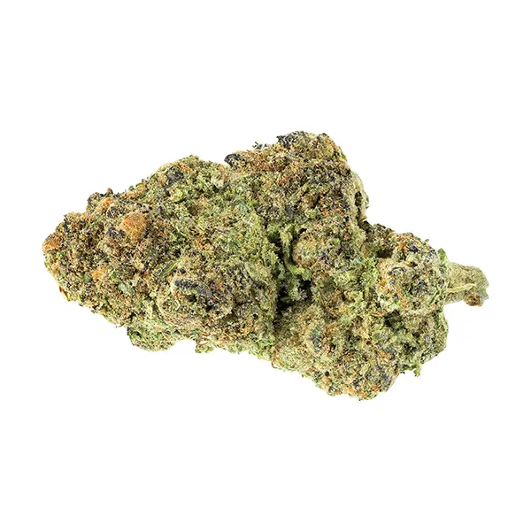 Indica