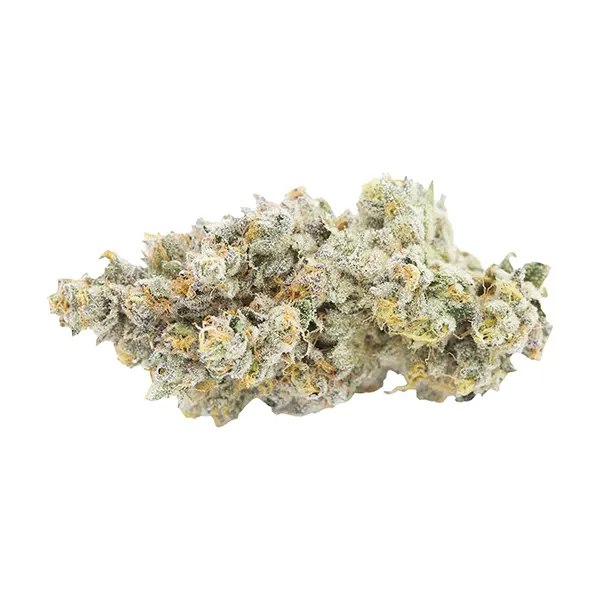 Bud image for Phenohunt Series - Indica, cannabis all products by Naked Mummer
