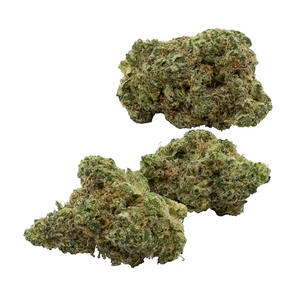 Bud image for Purple Hills Presents 4x3.5g – Flawless Victory Ice Cream C, cannabis dried flower by Purple Hills