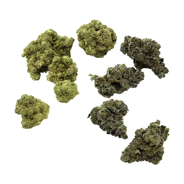 Bud image for VCC, cannabis dried flower by Purple Hills