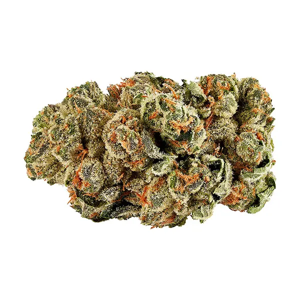 Bud image for Kush Cookies, cannabis all products by 3Saints