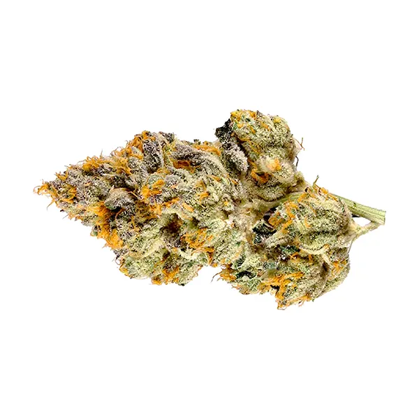 Spacewalker OG (Dried Flower) by 3Saints