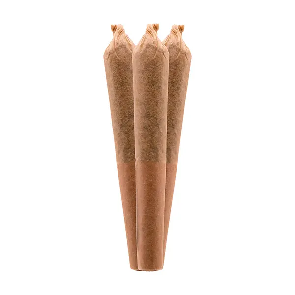 Image for Spicy Mango Solventless Infused Pre-Roll, cannabis all products by Growtown