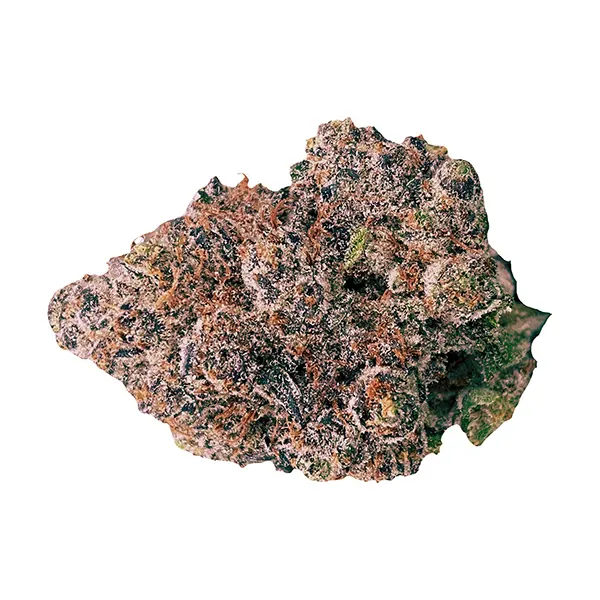 Bud image for HALO Mintz, cannabis all products by 1337 Elite