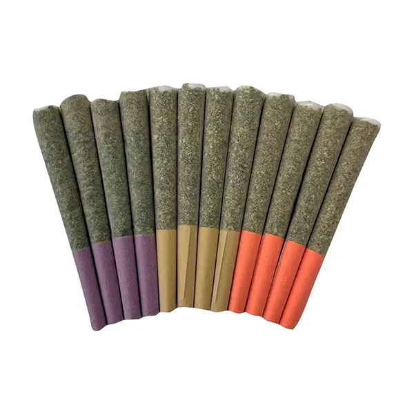 Gas Mask - Variety Pack Pre-Roll (Pre-Rolls) by Dom Jackson