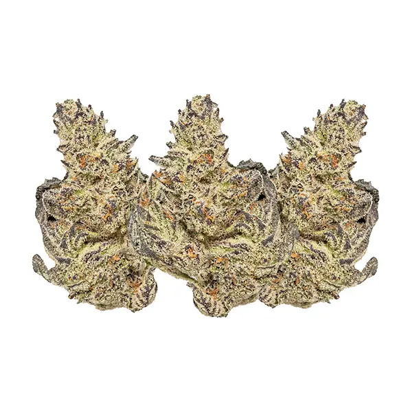 Image for White Truffle