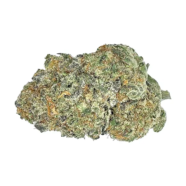 Image for Orange Squeeze