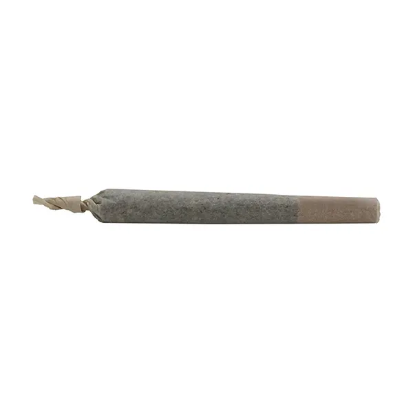 Image for Special Haze Pre-Roll, cannabis all products by Pure Laine