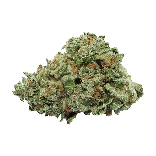 Image for Honeydew Melon