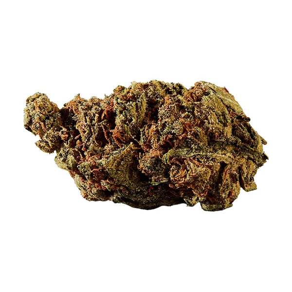 BC God Bud (Dried Flower) by Versus