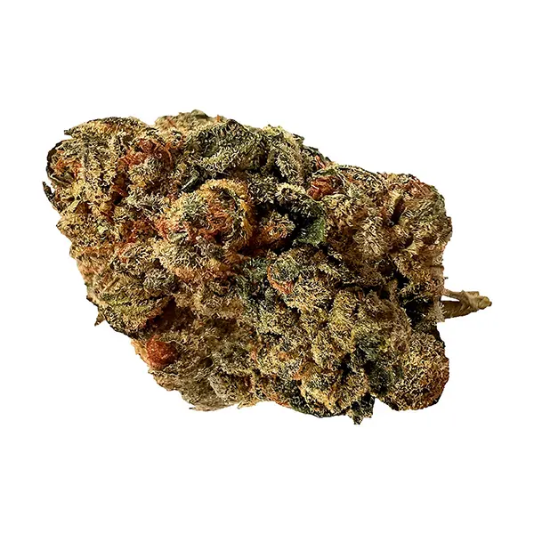 Bud image for Sweet Island Skunk, cannabis all products by Versus