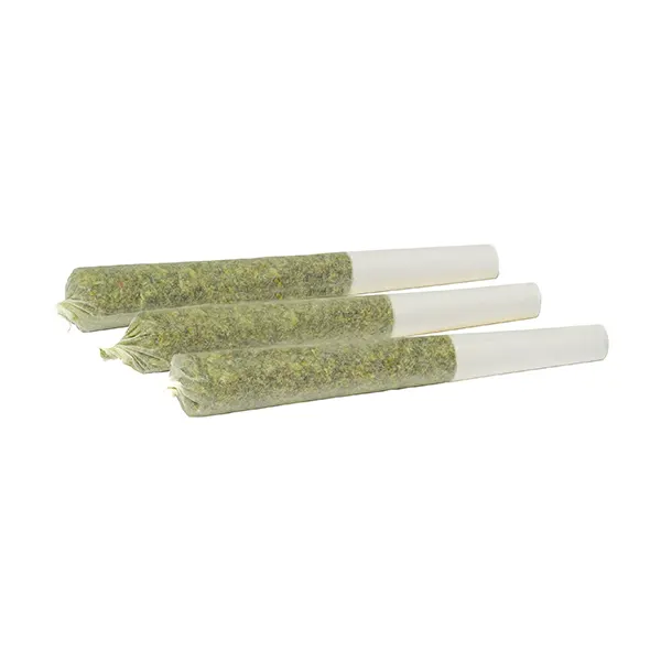 Product image for Critical Diesel Pre-Roll, Cannabis Flower by Greybeard