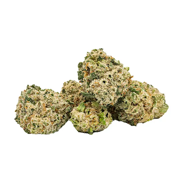 Bud image for Organic Minis, cannabis dried flower by Highly Dutch Organic