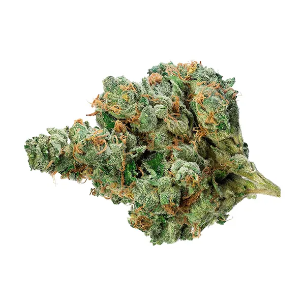 Space Cowboy (Dried Flower) by Steel City Green