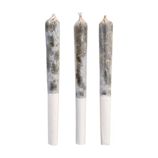 Image for Triple Iced Vanilla Infused Pre-Roll, cannabis all products by Tenzo