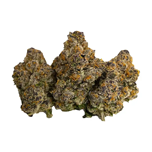 Product image for White Hot Guava, Cannabis Flower by Royal Cannabis Supply Co.