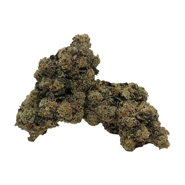 Bud image for Pink Rockstar, cannabis all products by Royal Cannabis Supply Co.