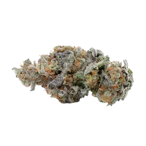 Bud image for Zurple Sunset, cannabis dried flower by EastCann