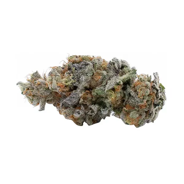 Bud image for Mango Sour, cannabis all products by EastCann