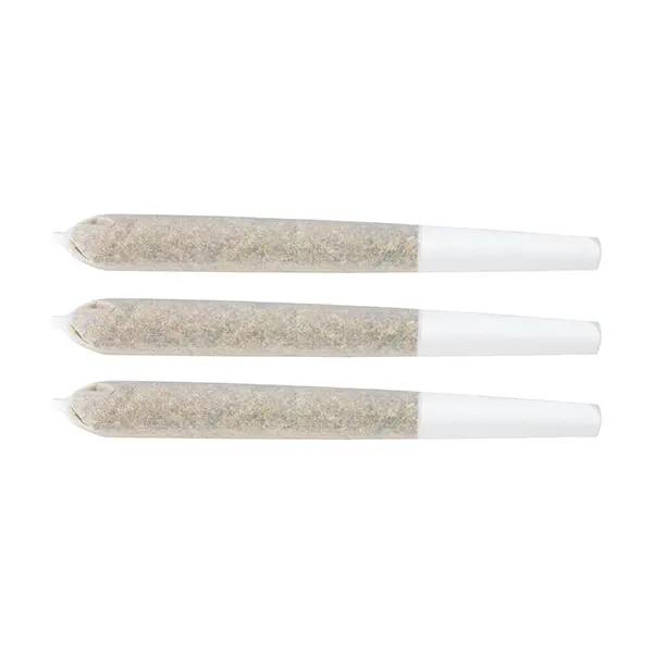 Image for Gastro Pop Pre-Roll, cannabis all products by EastCann